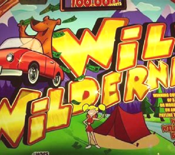 Wilderness slot machine