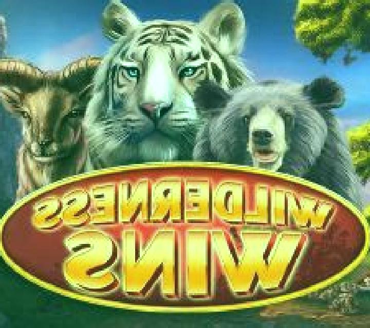 Wilderness Wins slot game