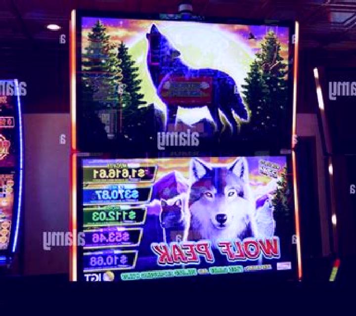 Wilderness Wolves slot machine