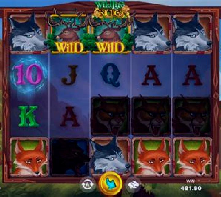 Wildlife Riches slot game