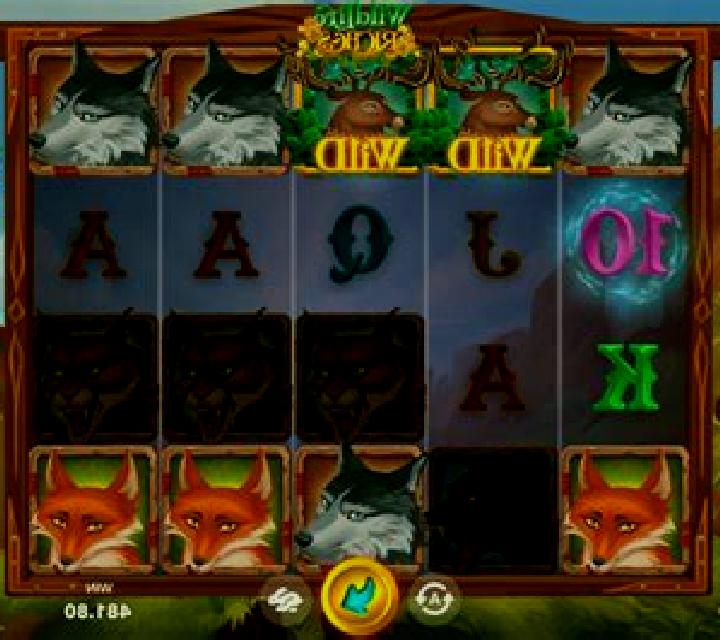 Wildlife Riches slot machine