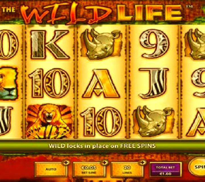 Wildlife slot machine