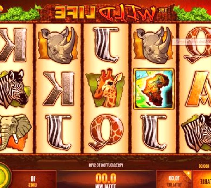 Wildlife slot