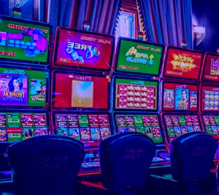 Wildosaurs slot machine