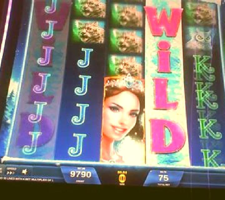 Wilds Deluxe slot machine