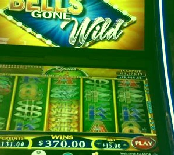 Wilds gone wild slot machine