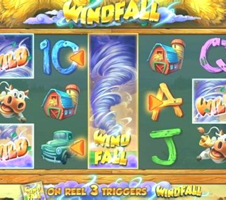 Windfall slot