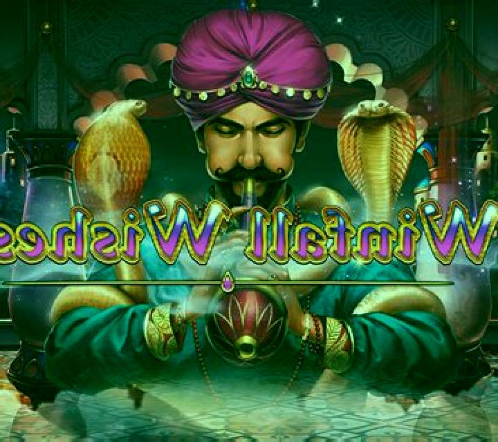 Winfall Wishes slot game