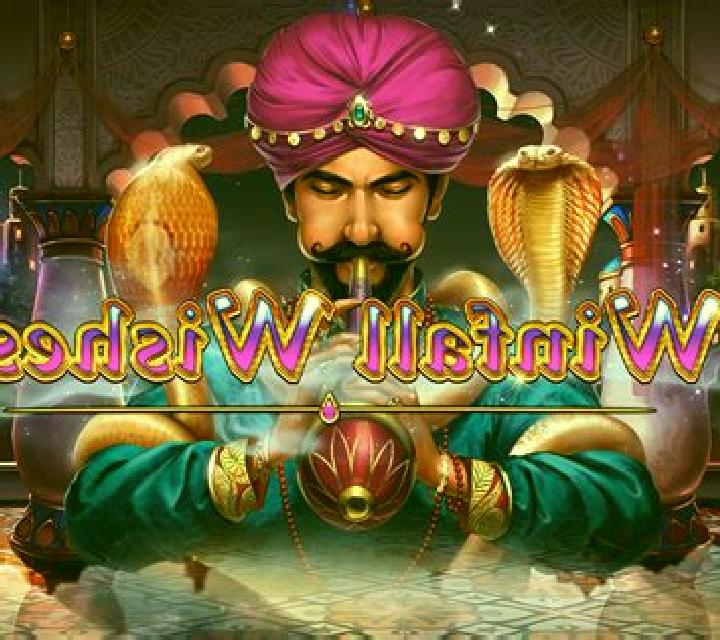 Winfall Wishes slot