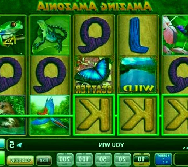 Winflood Amazonia slot game
