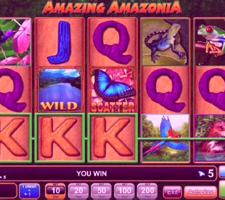 Winflood Amazonia slot machine