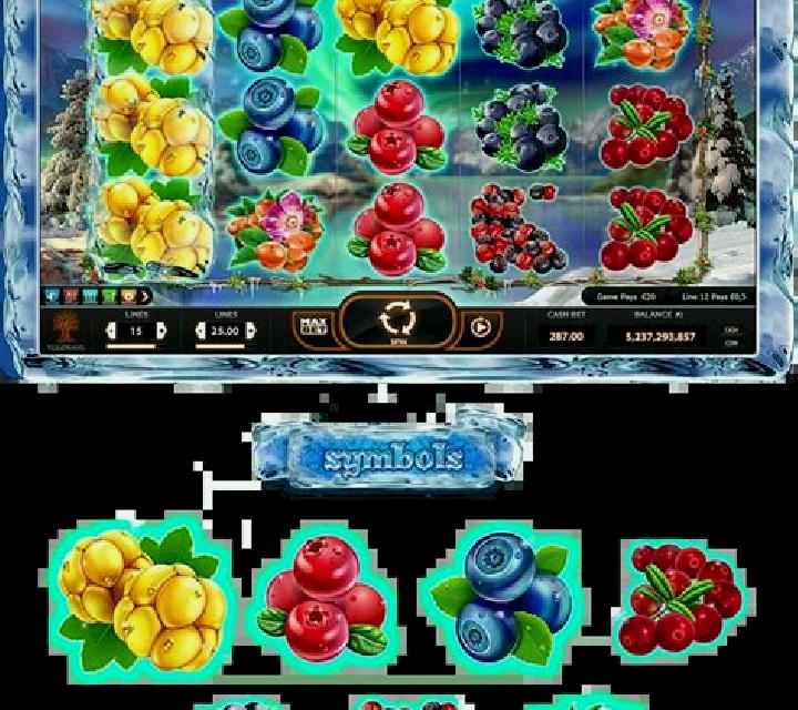 Winter Berries slot game