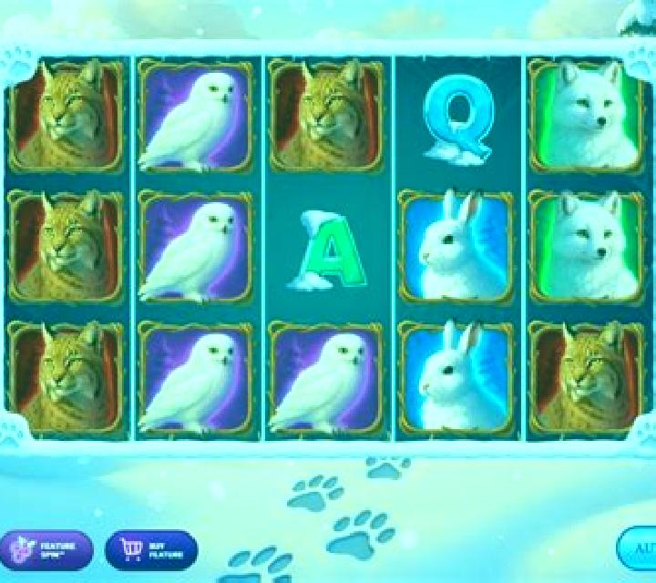 Winter Footprints slot