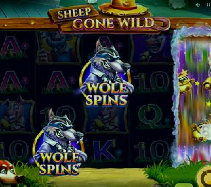 Wishes Gone Wild slot game