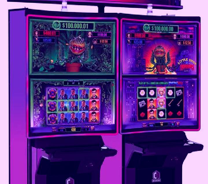 Witches Shop slot machine