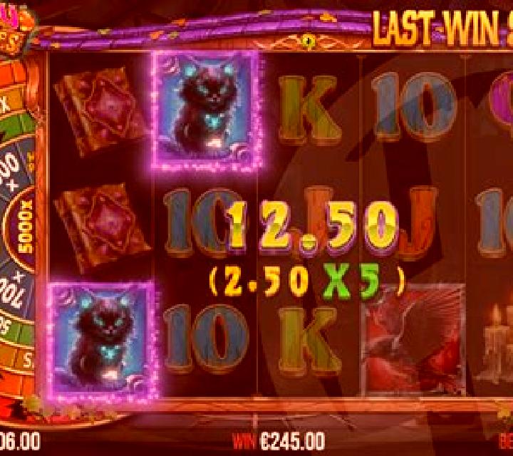 Witches Shop slot