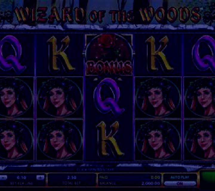 Wizard of the Woods slot machine