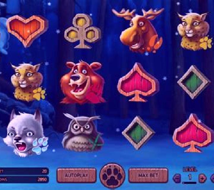 Wolf Cub slot game