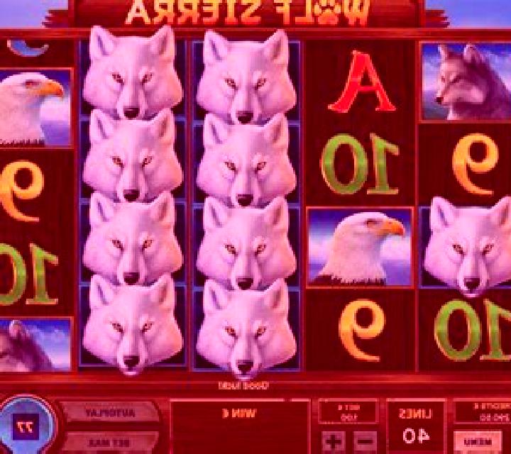 Wolf Sierra slot