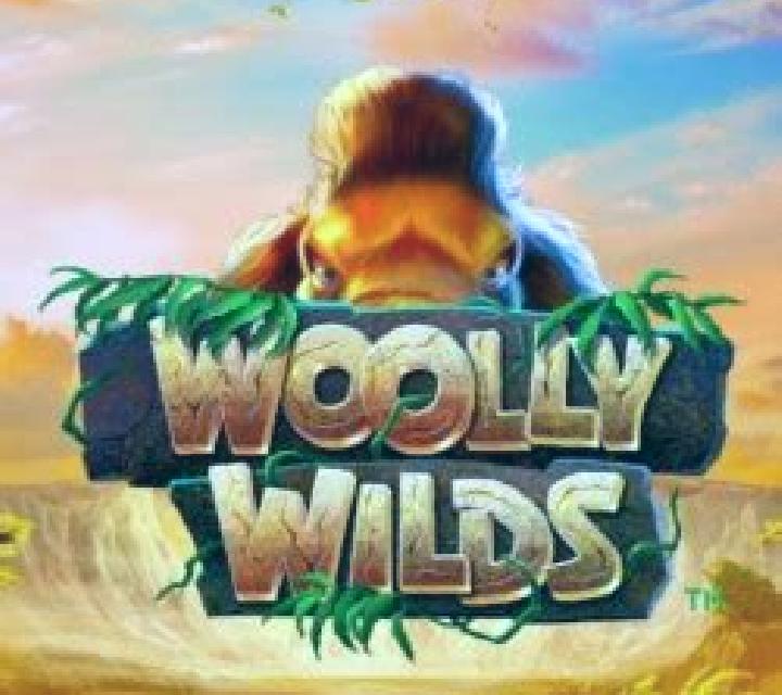 Wolly online slot