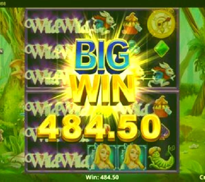 Wonder Land online slot