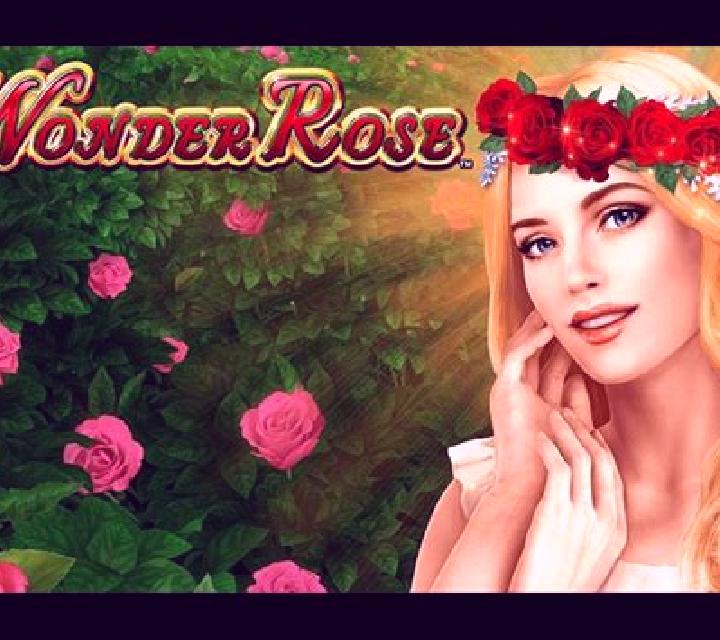 Wonder Rose slot