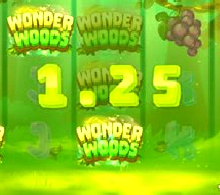 Wonder Woods slot game