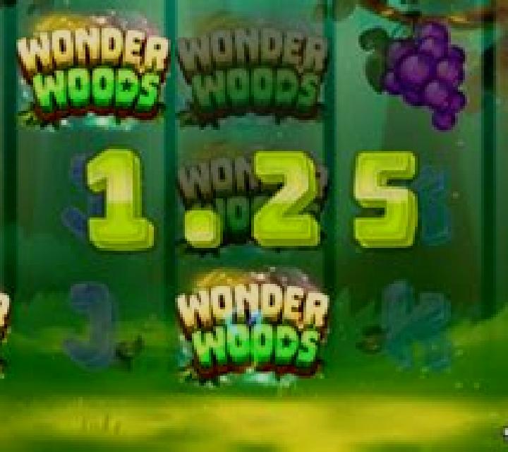 Wonder Woods slot