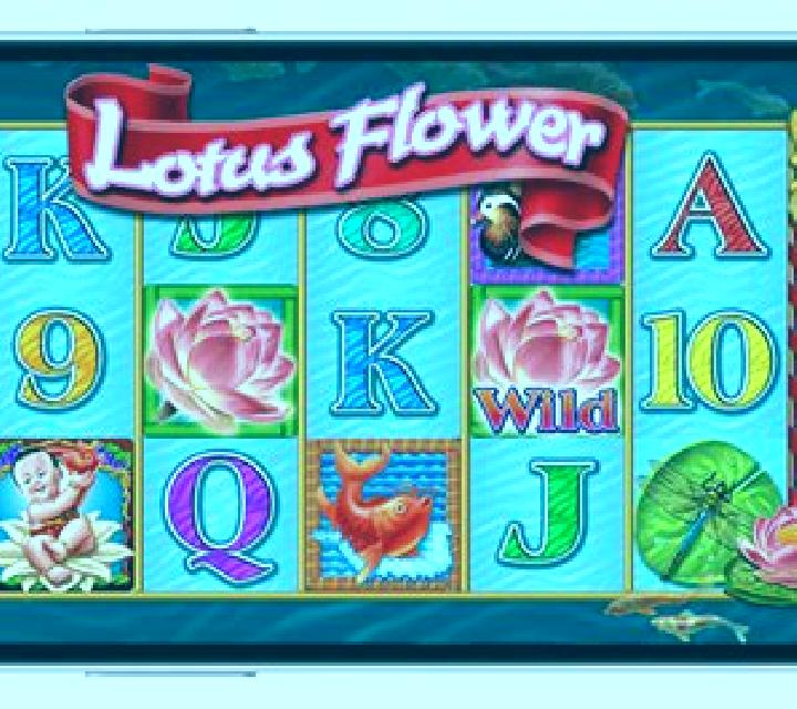 WP Golden Flower slot machine