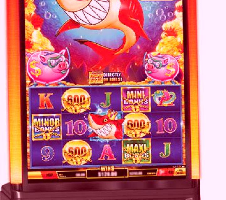 WP Golden Shark slot machine