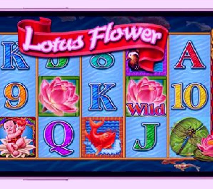 WP Instant Golden Flower slot game