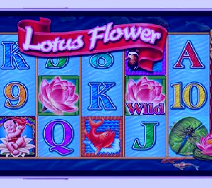 WP Instant Golden Flower slot machine