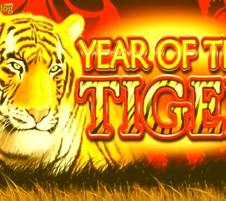 Year of the Tiger (Ainsworth) slot
