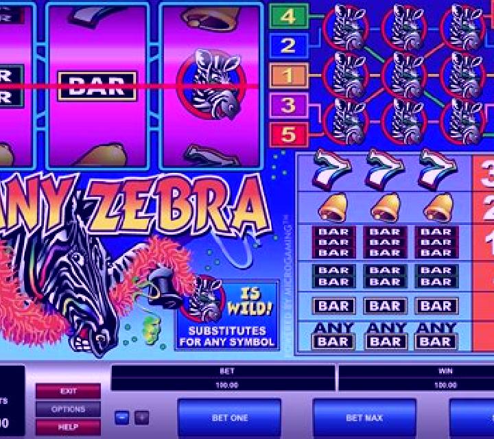 Zany Zebra slot game