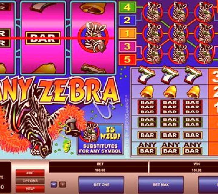 Zany Zebra slot