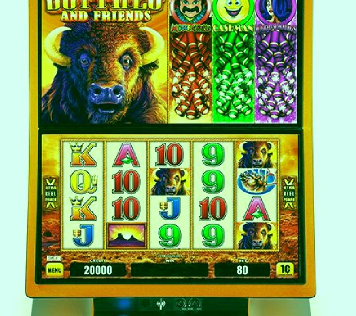 Zimba and Friends slot machine