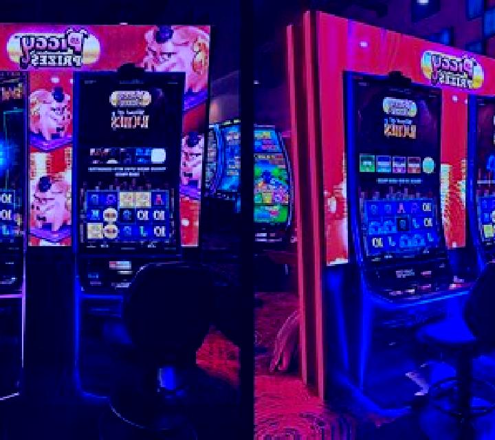 Zoo Busters slot game