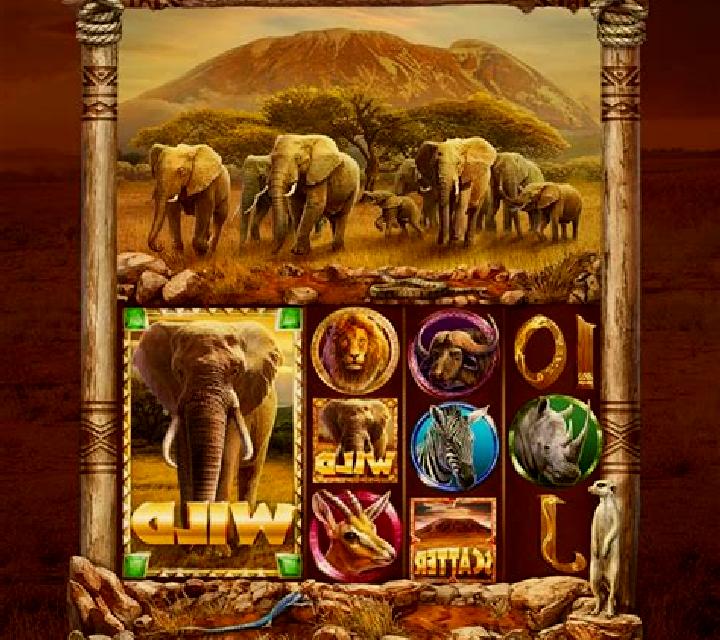 Zulu King slot game